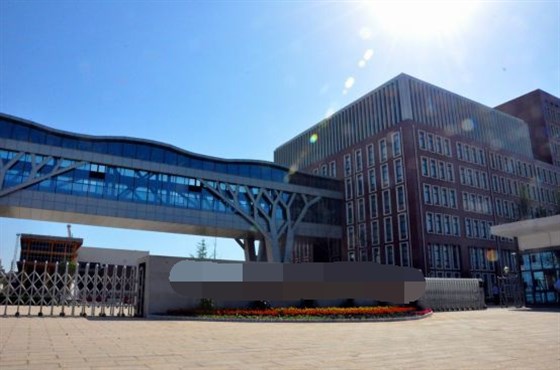 國(guó)外某石化化工集團(tuán)大門(mén)