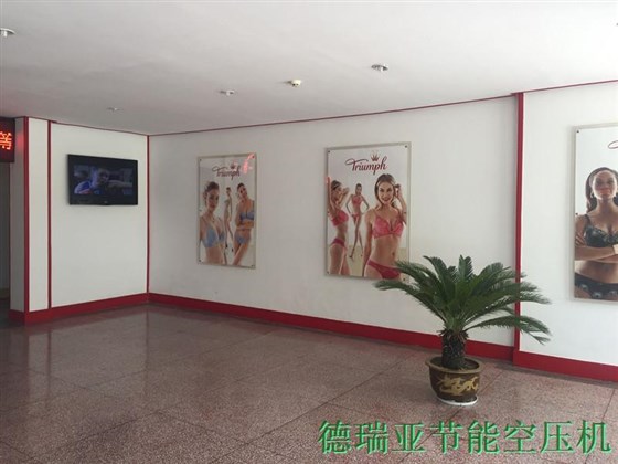 德國(guó)黛安芬內(nèi)部