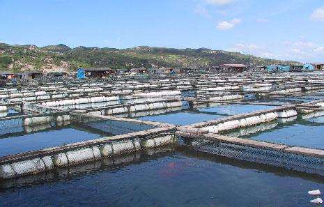 德瑞亞空壓機助力淡水養(yǎng)殖，營造和諧水產市場
